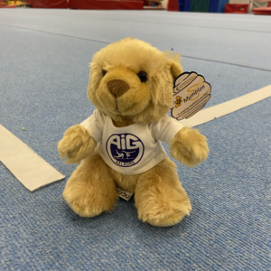 AIG Bamse